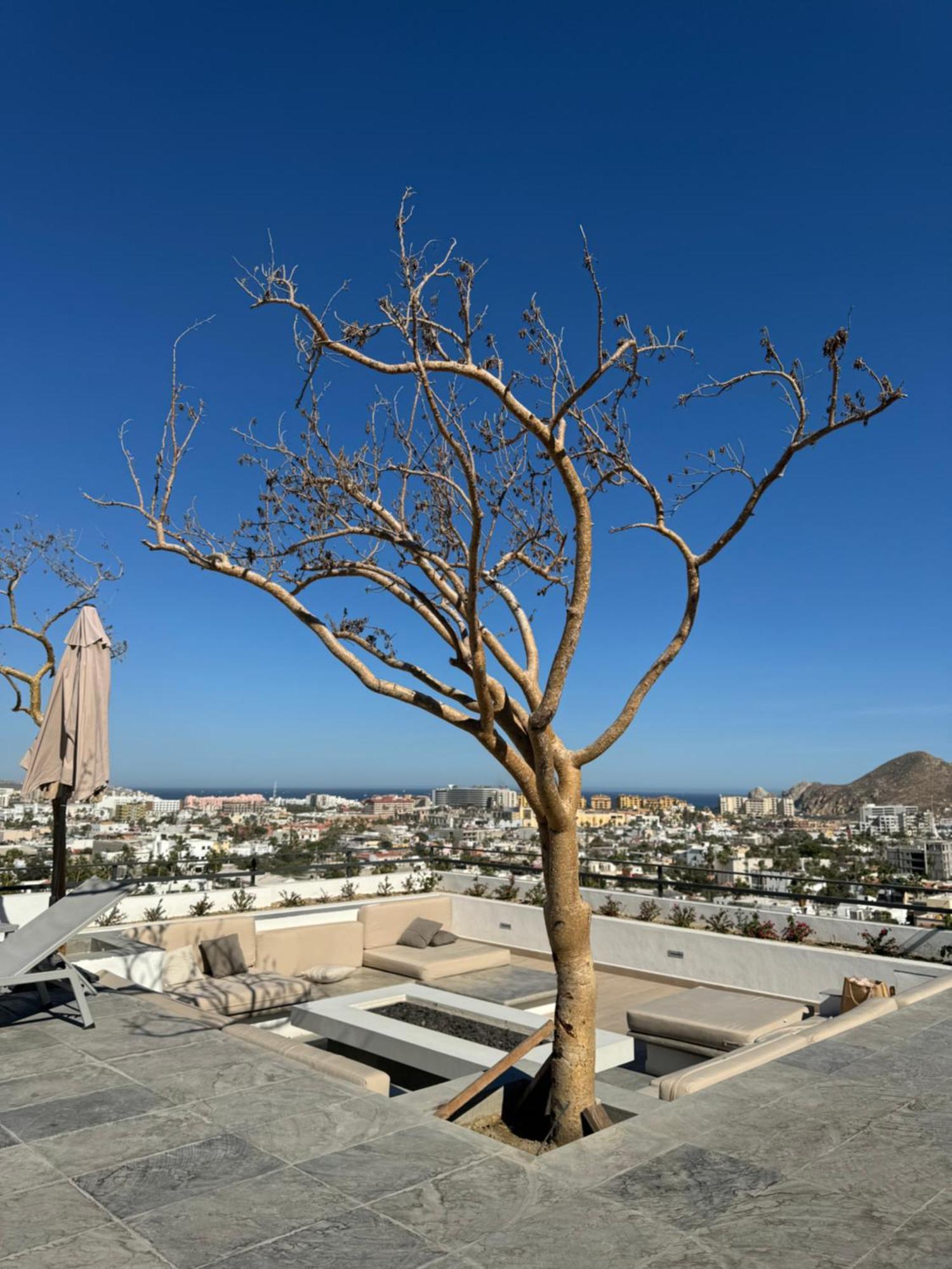 Appartement Live! Departamento Centrico Con Asombroso Rooftop Y Alberca